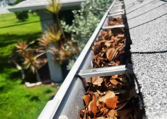 Cheney gutter cleaning home page